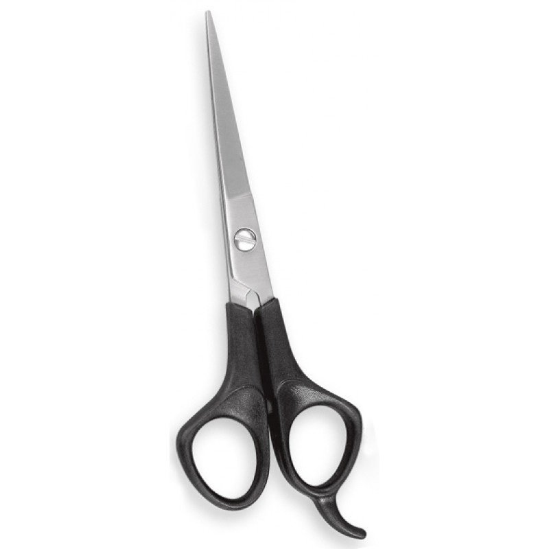 Plastic Handle Scissors