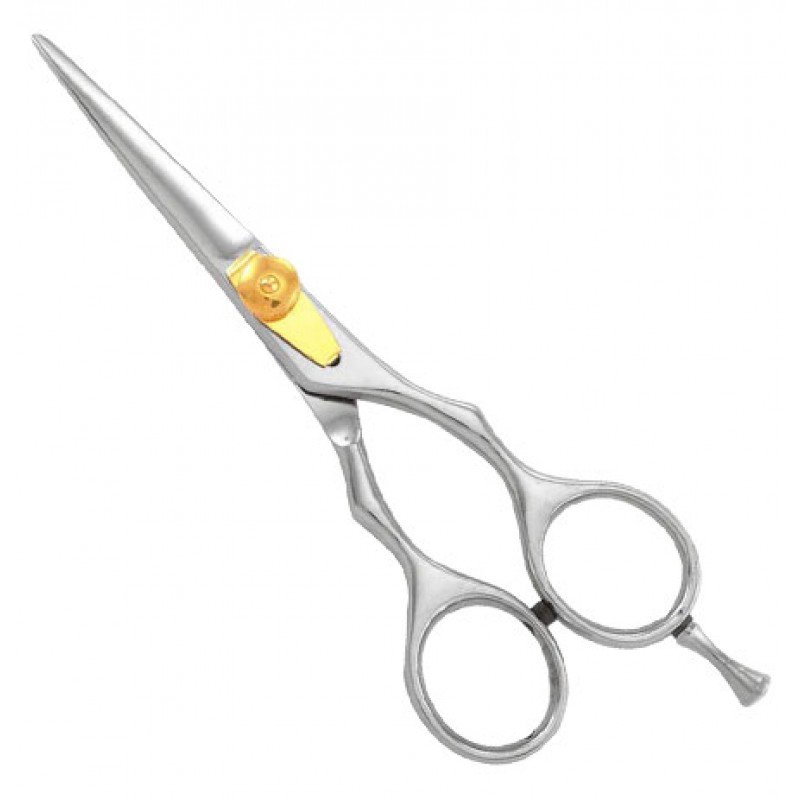 Professional Barber Shears