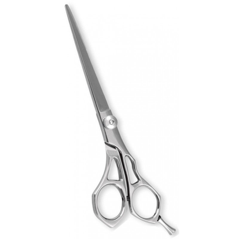 Professional Barber Shears