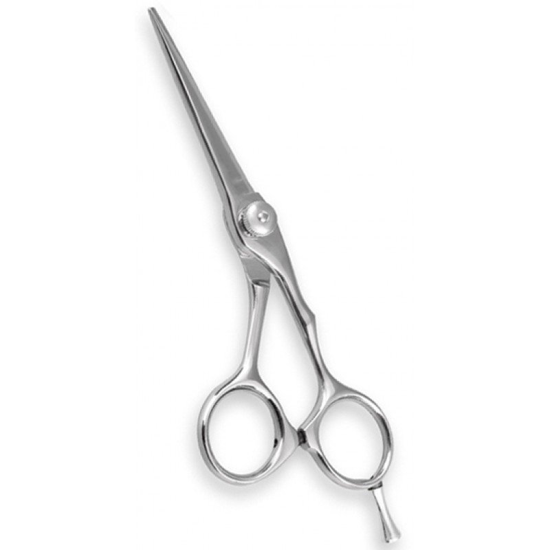 Professional Barber Shears